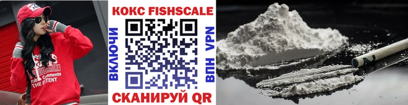 КОКАИН Fish Scale  где купить   Вышний Волочёк 