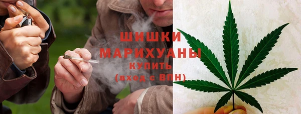 молекула духа Бугульма