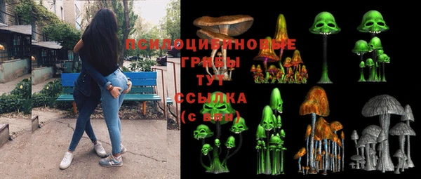молекула духа Бугульма